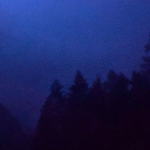 Meet your Posher, Kai